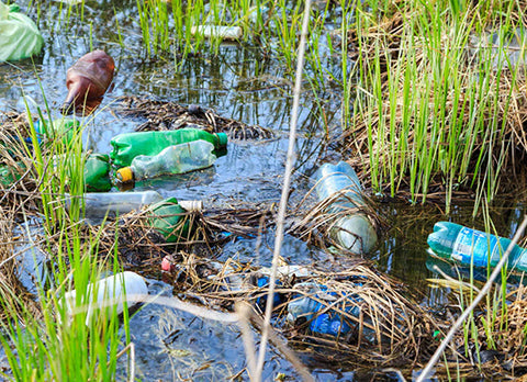 Warum SodaStream gut für die Umwelt ist? Darum!