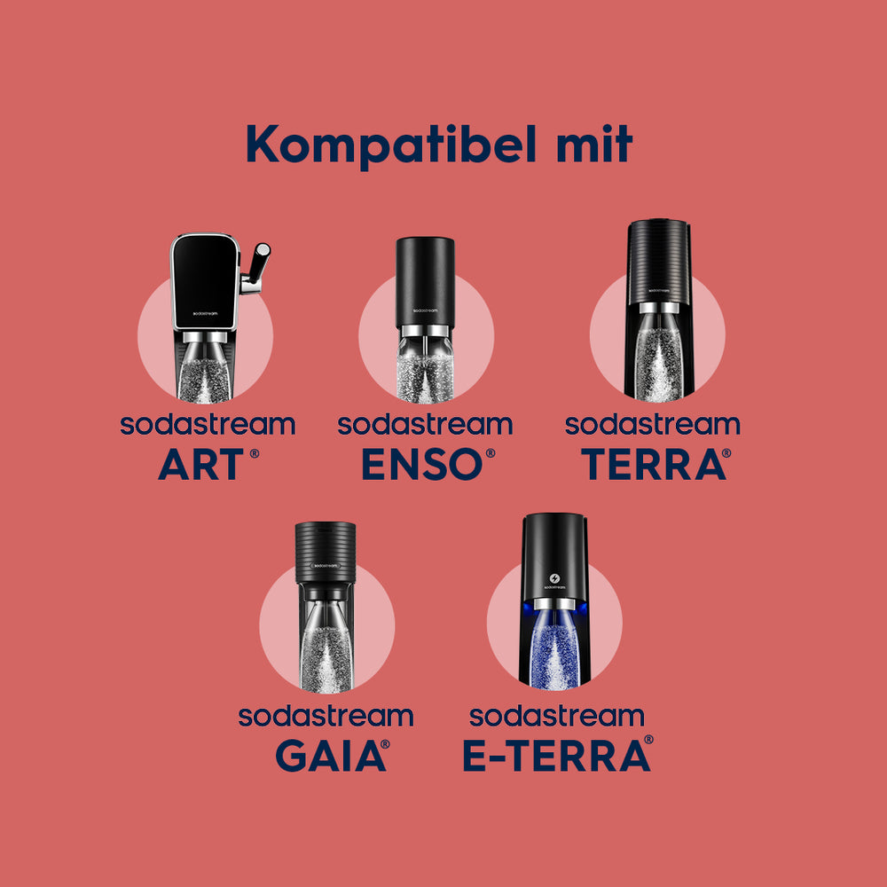 Kunststoffflasche ENSO Edelstahl 1 L, 1er-Pack – 4