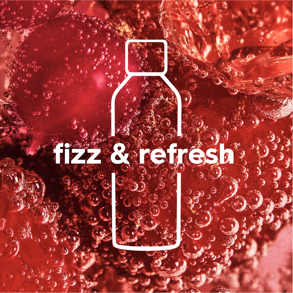 fizz & refresh Kunststoffsprudlerflasche Metall 1 L, 1er-Pack – 5