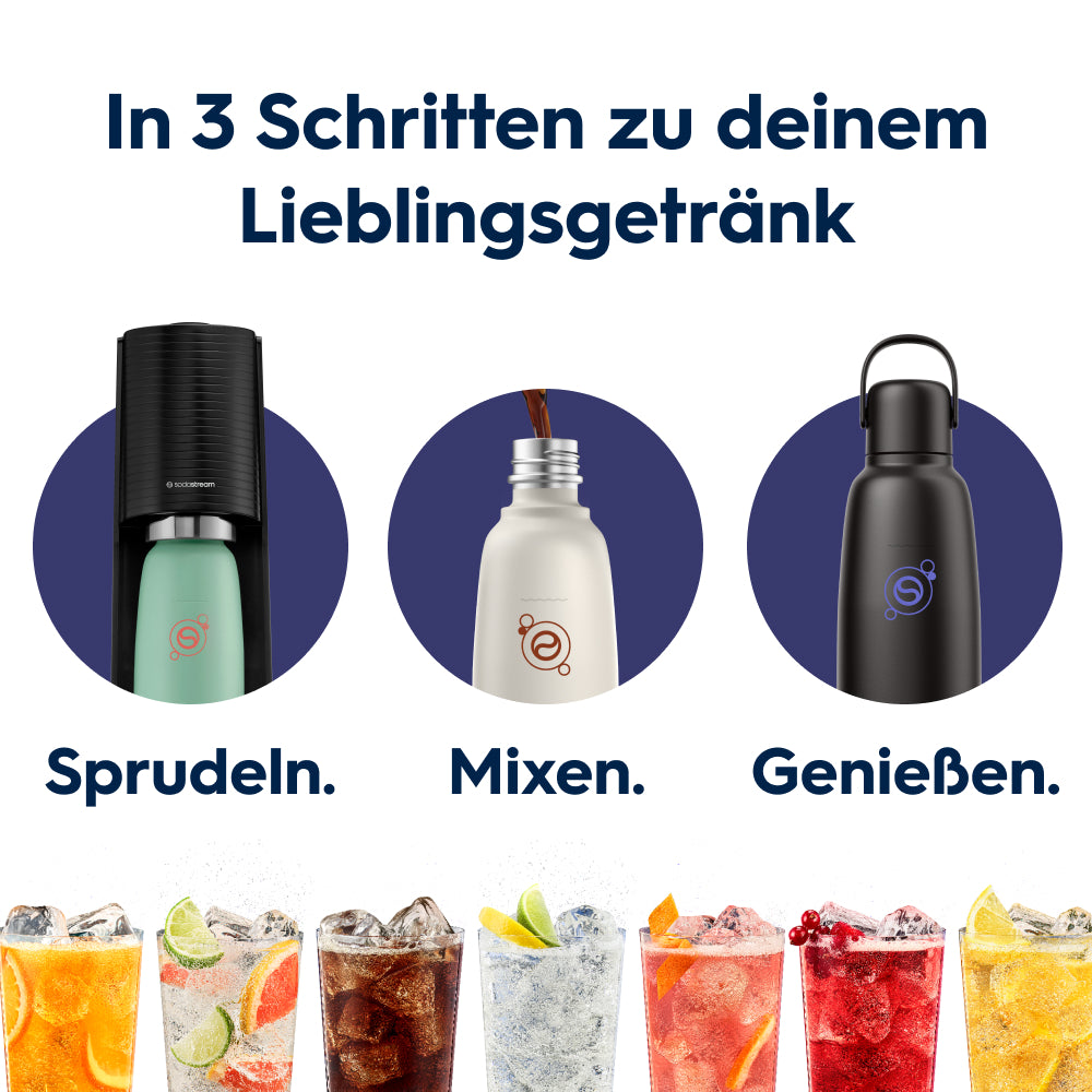 Fizz&go Edelstahl Sprudlerflasche (Charcoal) 0,9 L, 1er-Pack