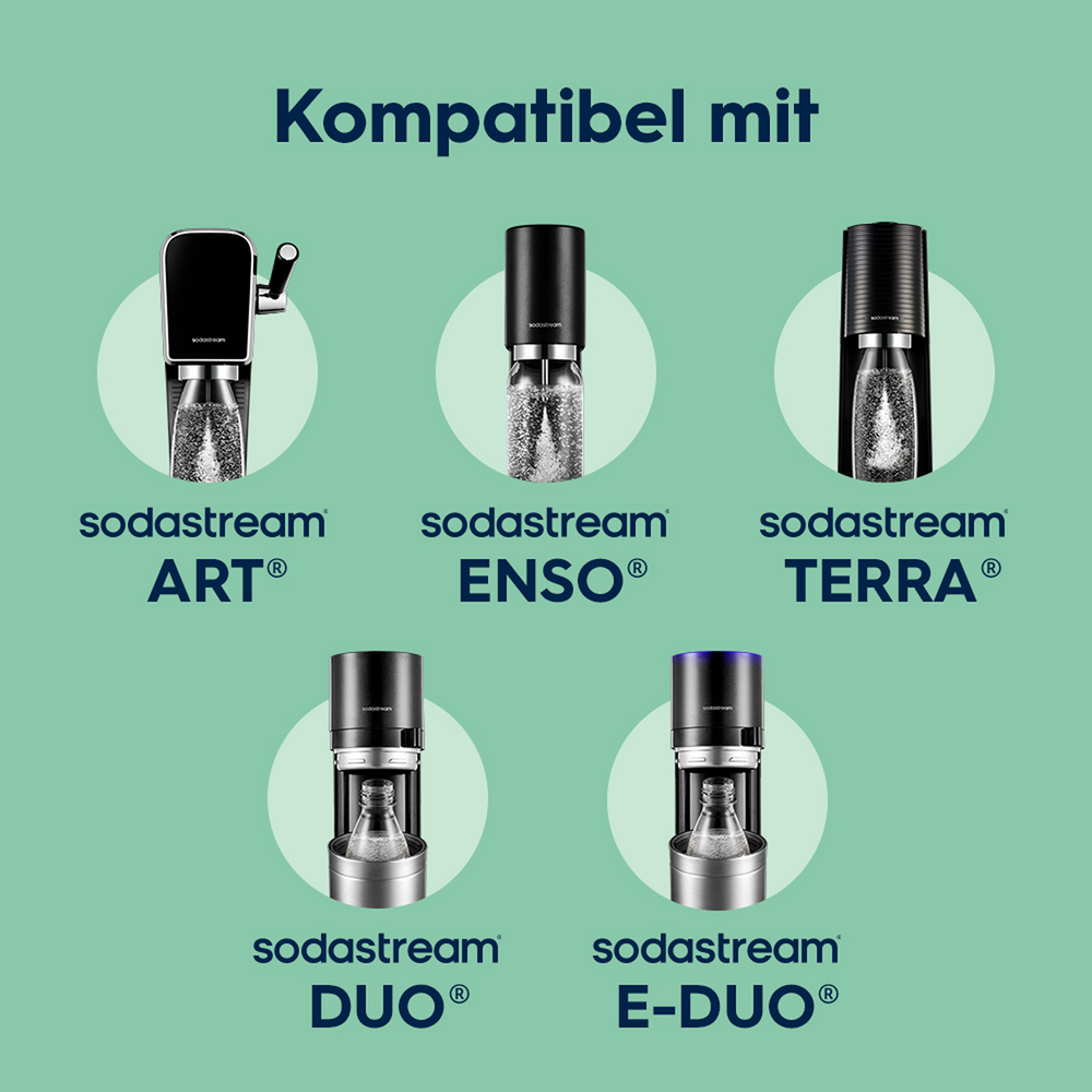 fizz & go Edelstahl Sprudlerflasche (Mint) 0,9 L, 1er-Pack – 7