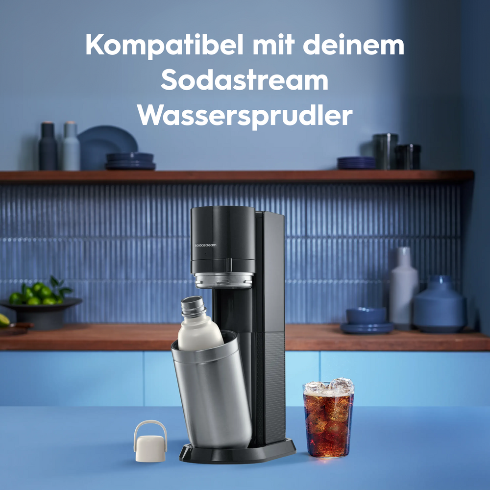 fizz & go Edelstahl Sprudlerflasche (Sand) 0,9 L, 1er-Pack – 3