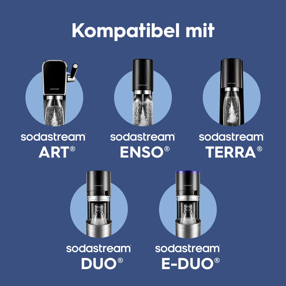 fizz & go Edelstahl Sprudlerflasche (Storm) 0,9 L, 1er-Pack – 7